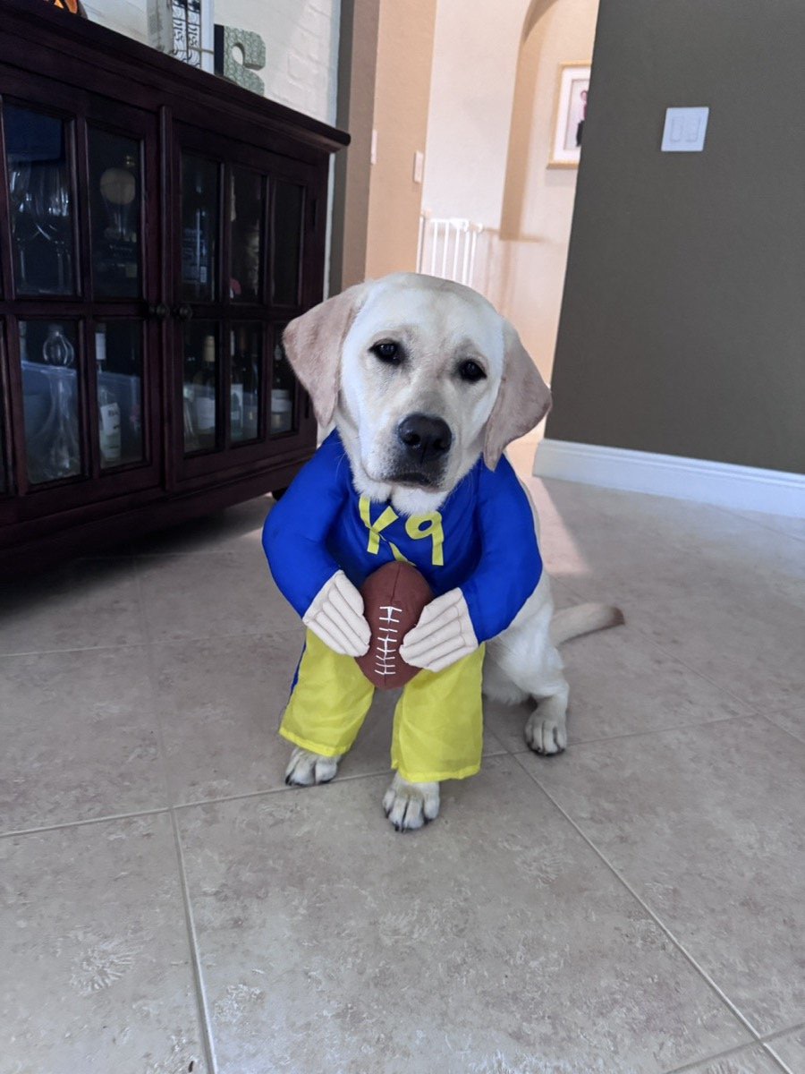 Aspen in a quarterback costume holding a football