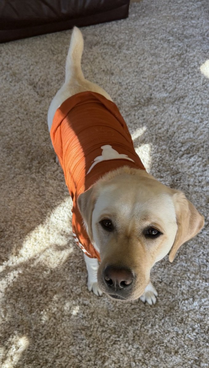 Aspen in a burnt orange Texas Longhorns jersey