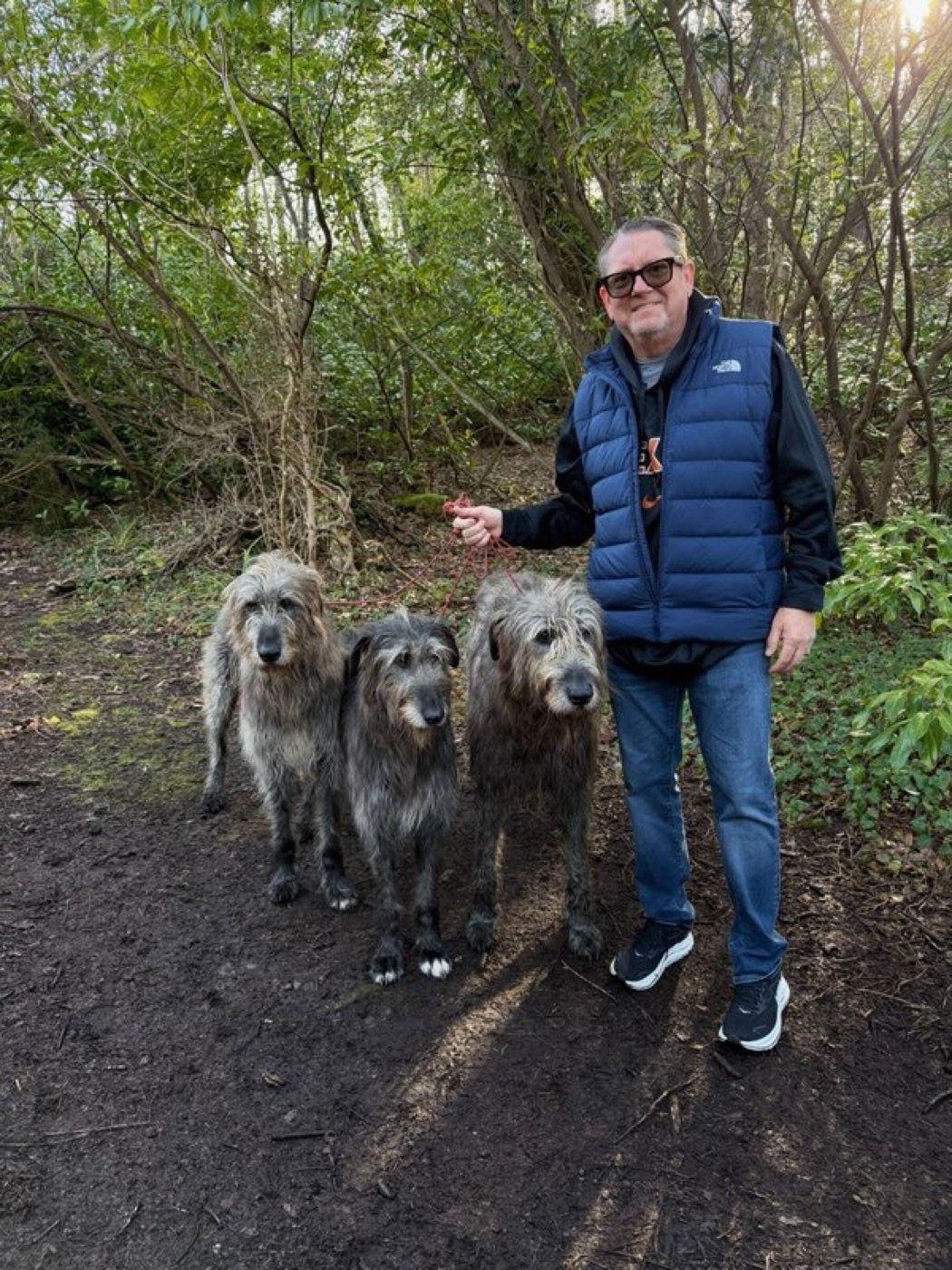 Mark in Ireland with three Irish Wolfhounds on a forest path